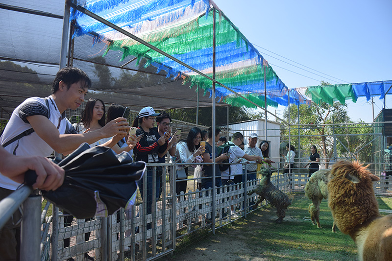 南宫28园区党委举办了以“不忘初心·牢记使命”为主题的主题党日活动